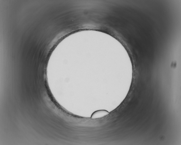 X0000115630011200912221259