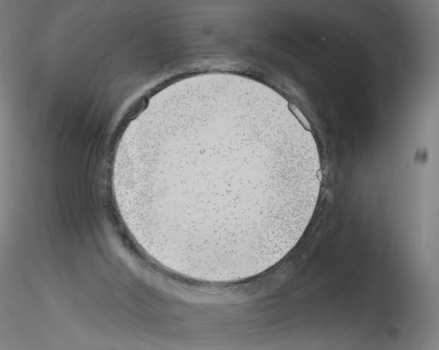 X0000115630012200912221259