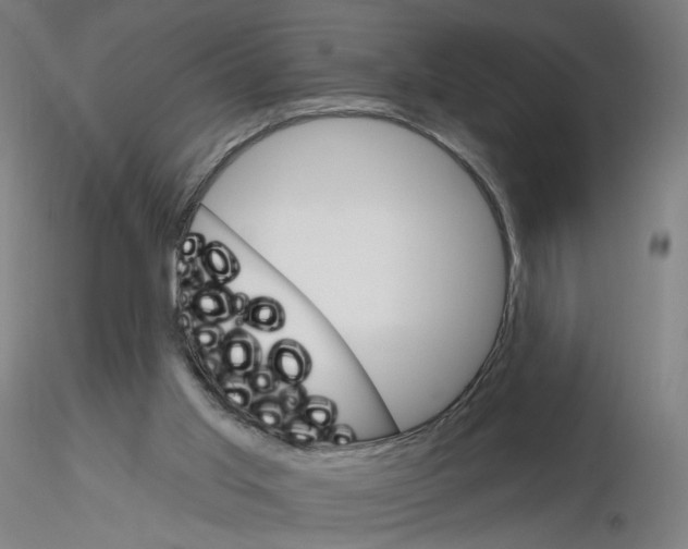 X0000115630013200912221259