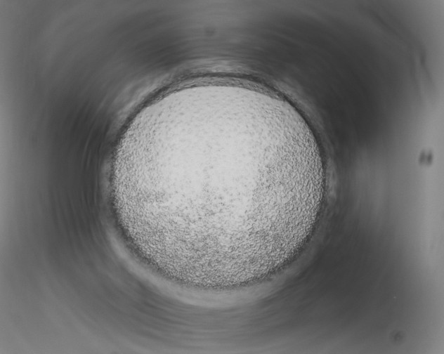 X0000115630014200912221259