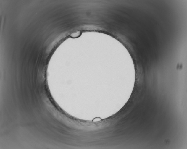 X0000115630015200912221259