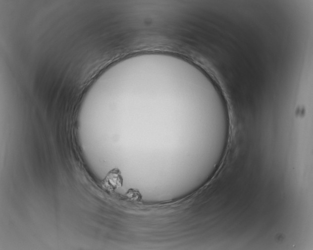 X0000115630017200912221259
