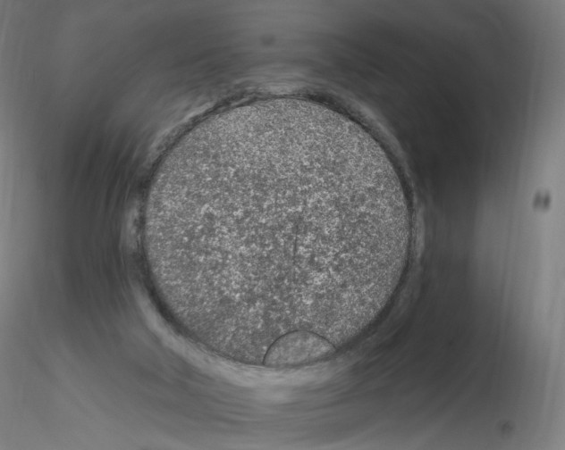 X0000115630018200912221259