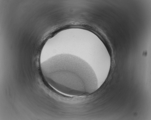 X0000115630019200912221258