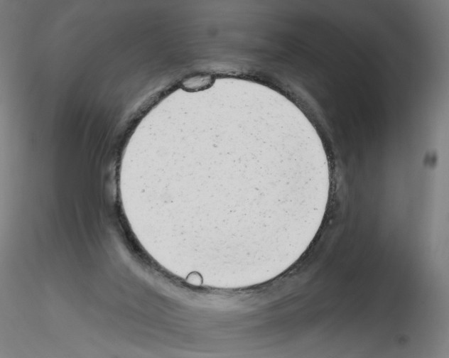 X0000115630020200912221258