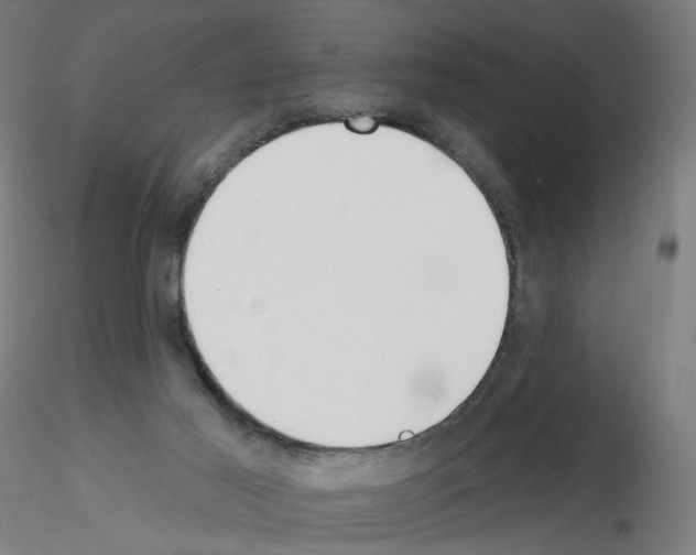 X0000115630021200912221258