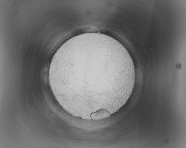 X0000115630022200912221258
