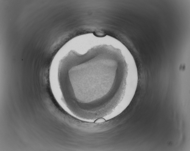X0000115630023200912221258