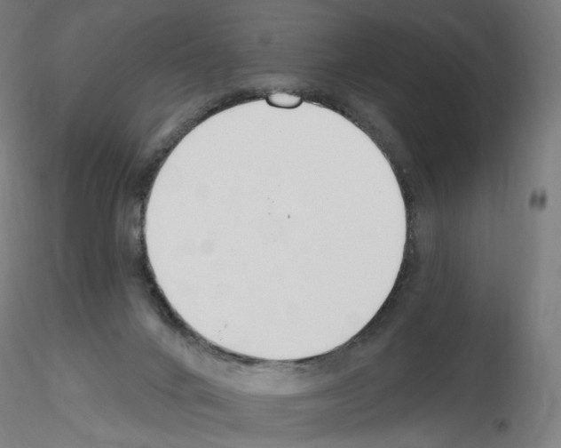 X0000115630024200912221258