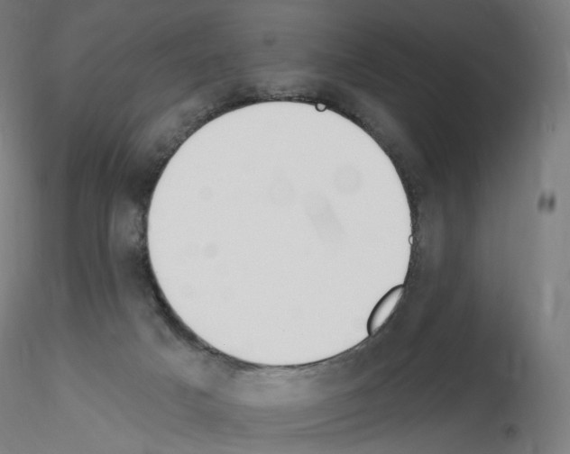 X0000115630025200912221258