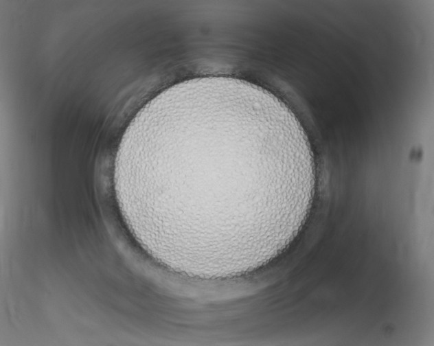 X0000115630026200912221258