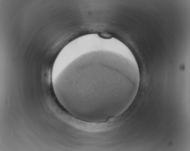X0000115630027200912221258