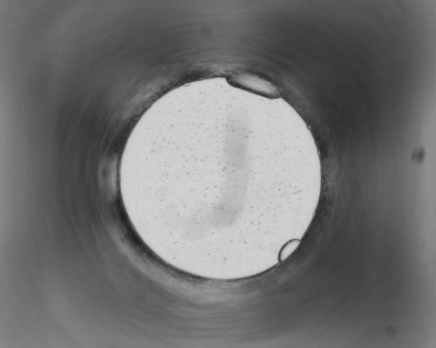 X0000115630028200912221258