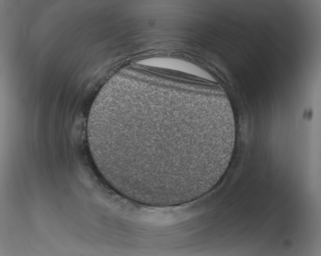 X0000115630029200912221258