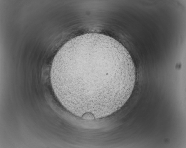 X0000115630030200912221258