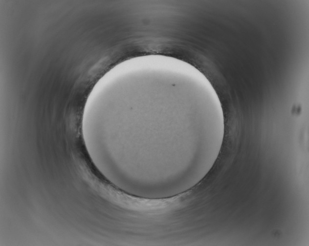 X0000115630031200912221258