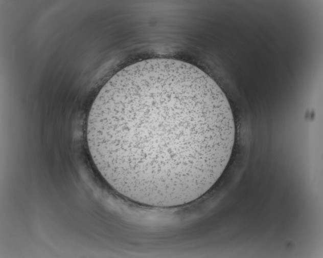 X0000115630032200912221258