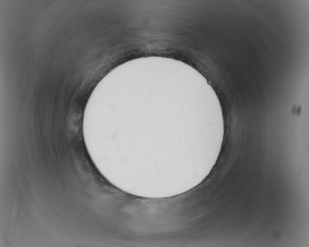X0000115630033200912221258