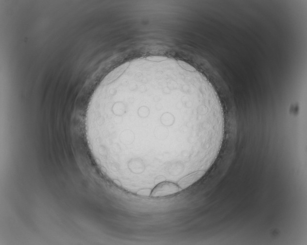 X0000115630034200912221258