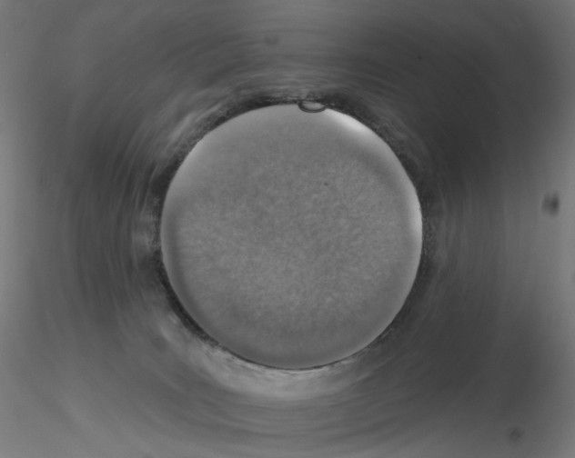 X0000115630035200912221258