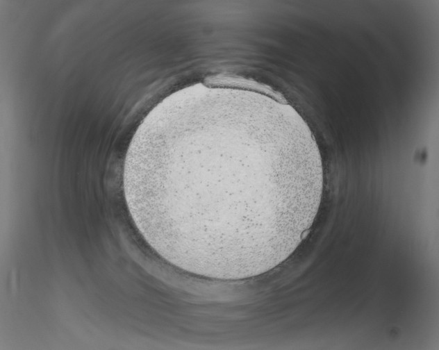 X0000115630036200912221258