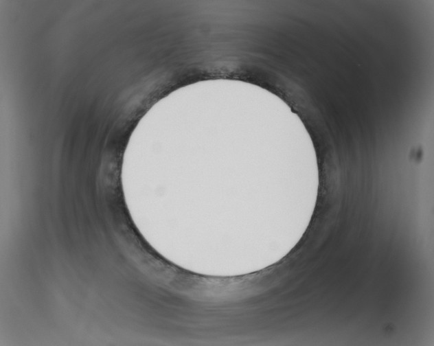 X0000115630037200912221258