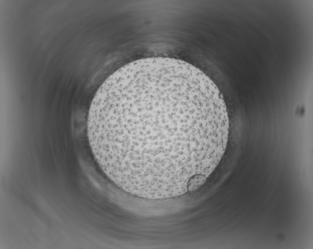 X0000115630038200912221258