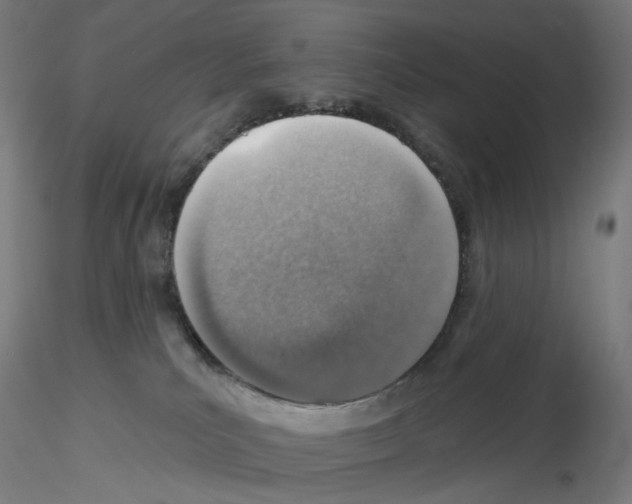 X0000115630039200912221258