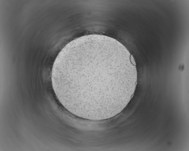 X0000115630040200912221258