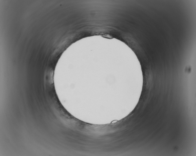 X0000115630041200912221258