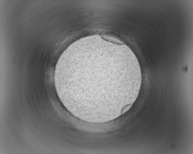 X0000115630042200912221258
