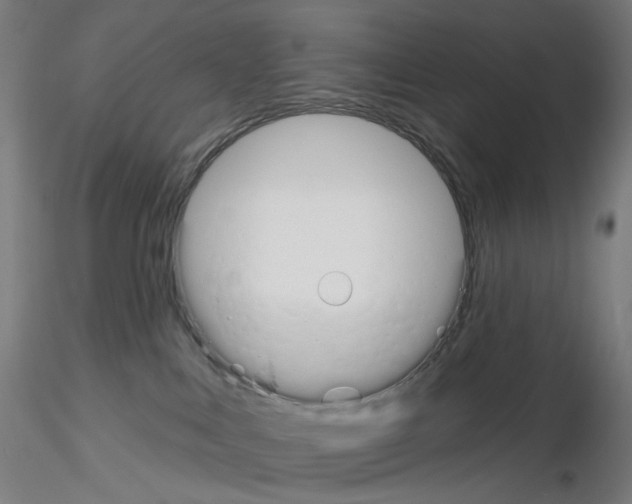 X0000115630043200912221258