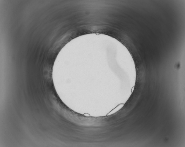 X0000115630044200912221258