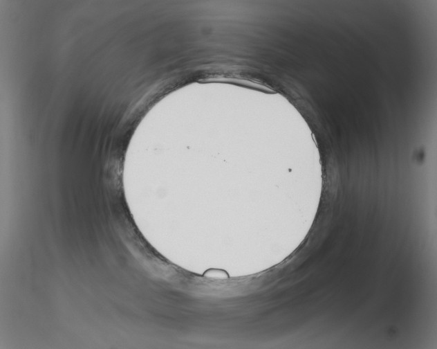 X0000115630045200912221258