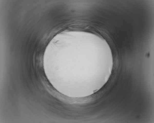 X0000115630046200912221258
