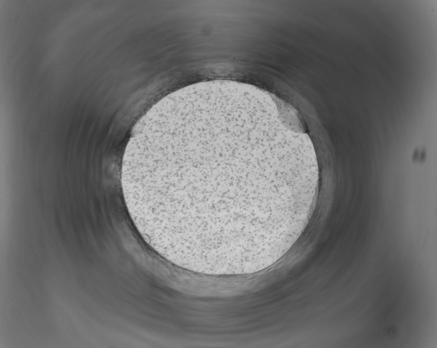 X0000115630048200912221258