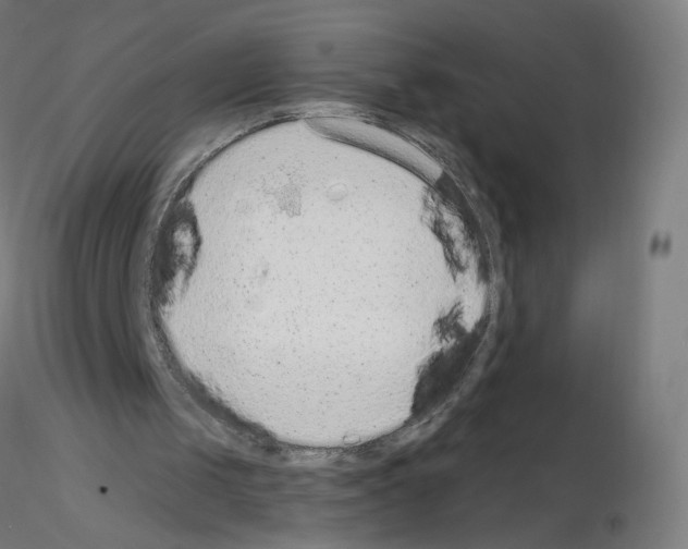 X0000115630049200912221257