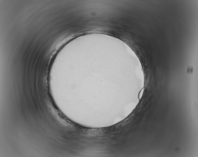 X0000115630050200912221257