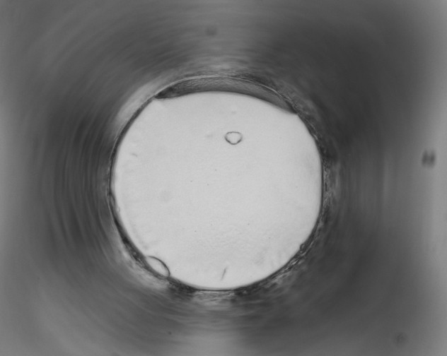 X0000115630051200912221257