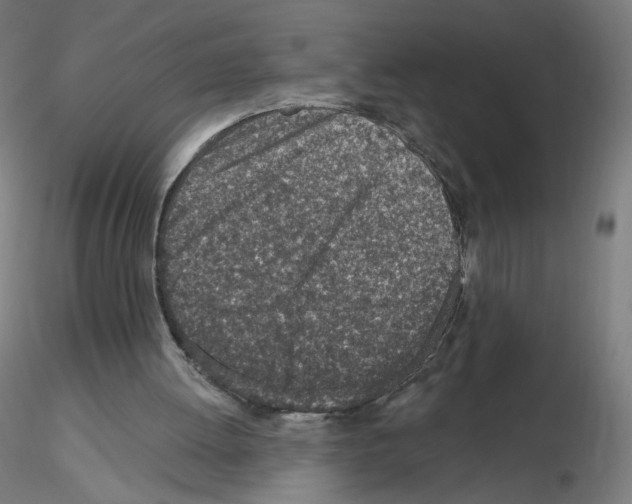 X0000115630052200912221257
