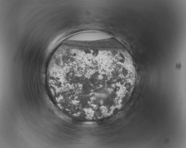 X0000115630053200912221257