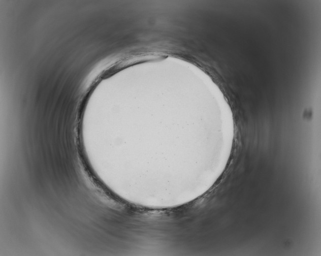 X0000115630054200912221258