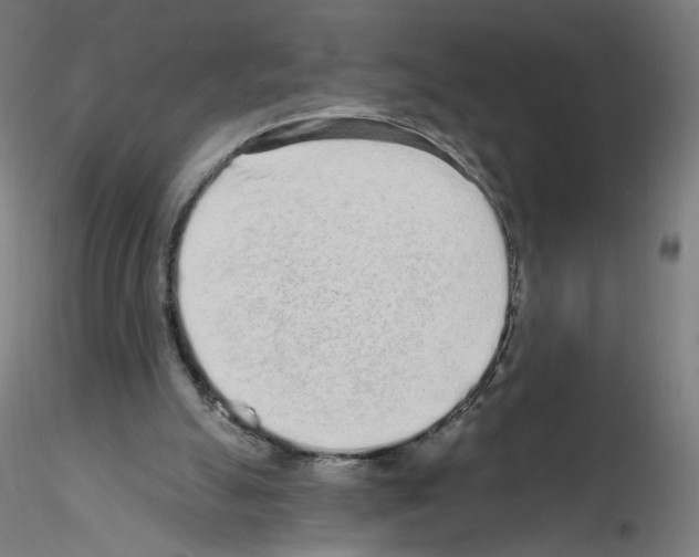 X0000115630055200912221258