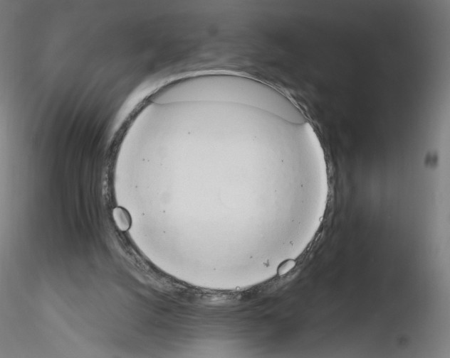 X0000115630056200912221258