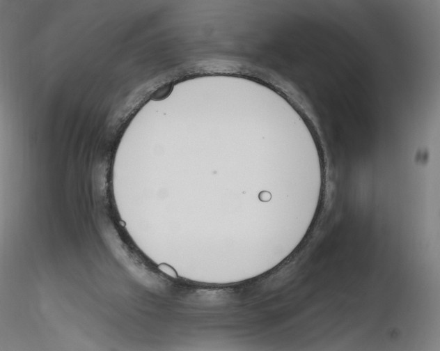 X0000115630057200912221258