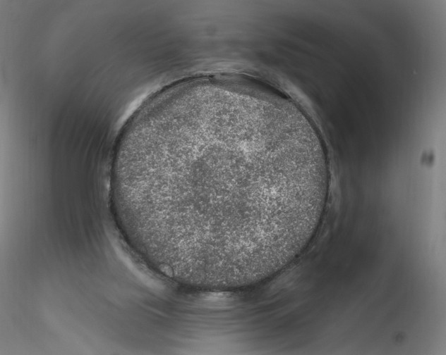 X0000115630059200912221258