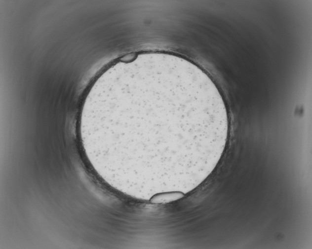 X0000115630060200912221258