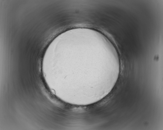 X0000115630061200912221258