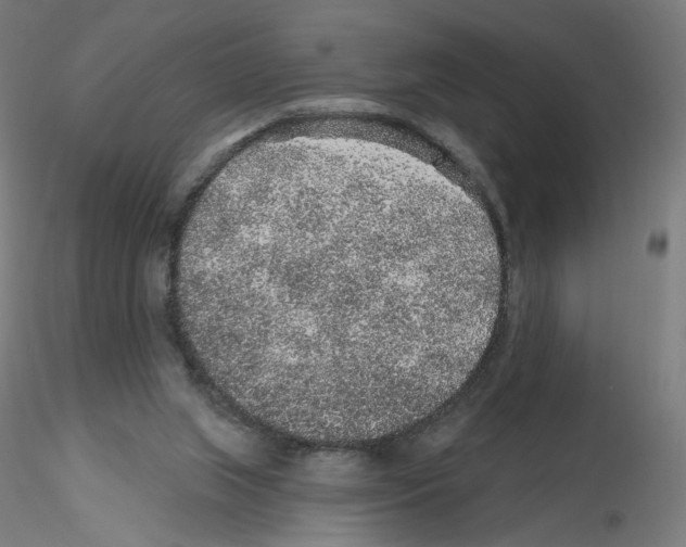X0000115630063200912221258