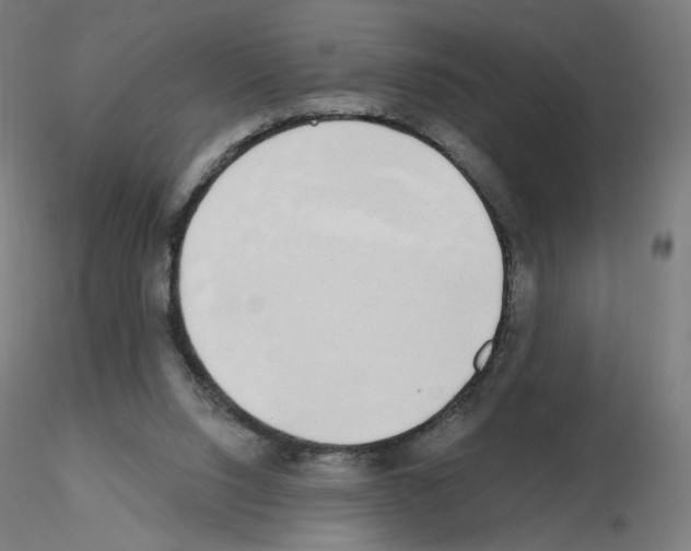 X0000115630064200912221258